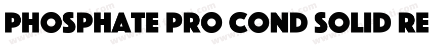 Phosphate Pro Cond Solid Regular字体转换